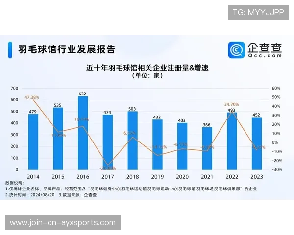 羽毛球职业发展扶持政策建议与实施路径 羽毛球职业发展扶持政策建议与实施路径