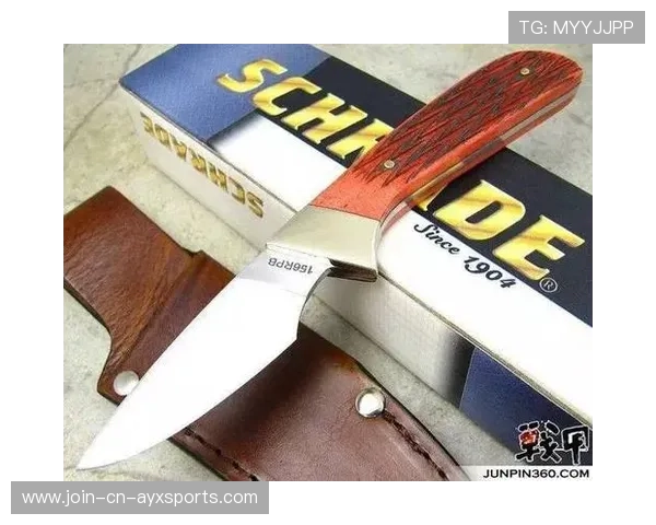 击剑匕首式反击成新战术要点，教练圈热议