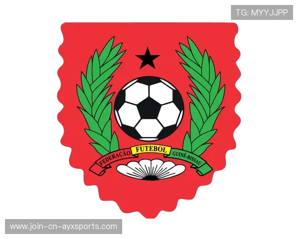 几内亚比绍足球队迎来新教练团队,几内亚比绍代表团 几内亚比绍足球队迎来新教练团队,几内亚比绍代表团